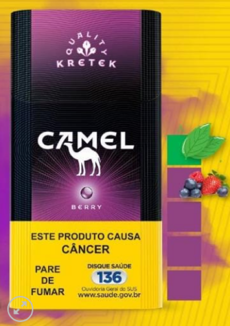 CAMEL BERRY